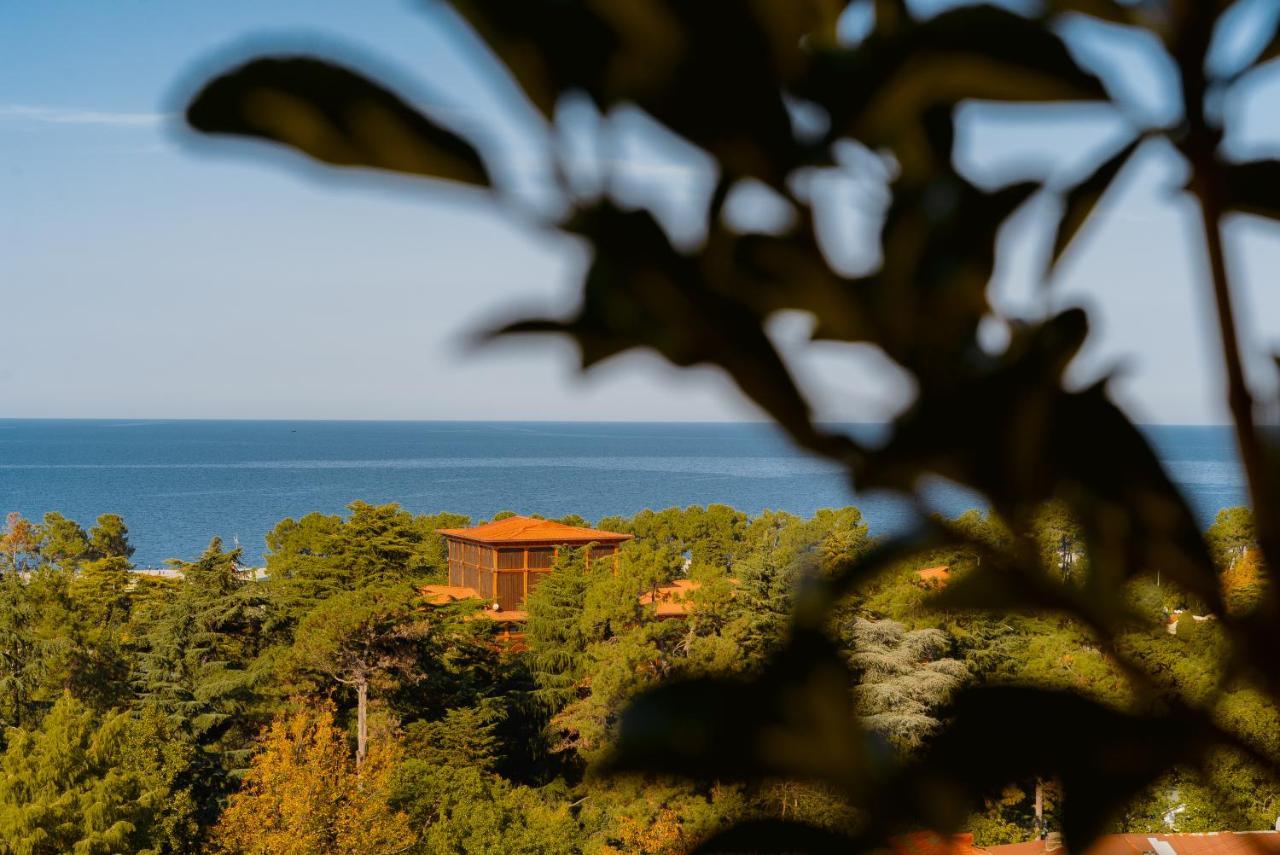 Tapis Rouge Design Boutique Hotel 바투미 외부 사진 View of the Black Sea from the house of the writer, in Varvarovski, Varvarovski, Varvarovski, Varvarovski, Varvarovski, Varvarovski, Varvarovski, Varvarovski, Varvarovski, Varvarovski, Varvarovski, Varvarovski, Varvarovski, Varvarovski, Varvarovski, 